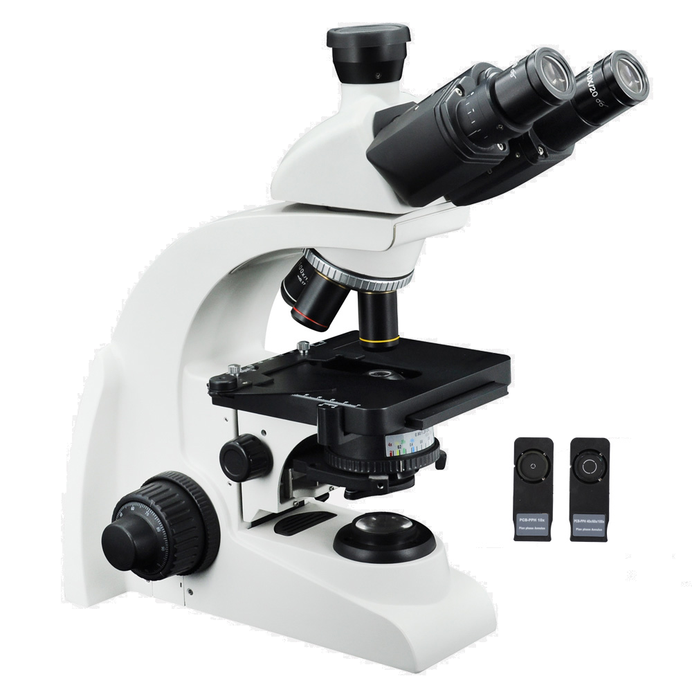 【UT503-PH】 位相差 生物顕微鏡/Inf.Plan 4x, PHP位相差対物10x,40x(s),100x(s,oil)/WF10x-18mm/LED照明